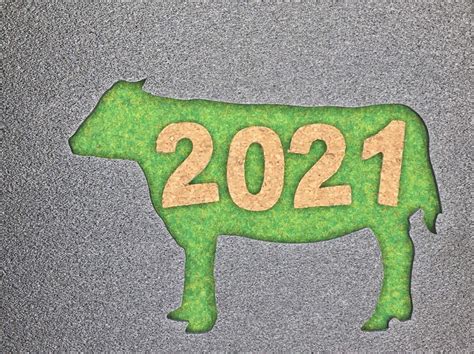 辛丑年2021|辛丑の意味 – 2021年の干支 – 講老箚記